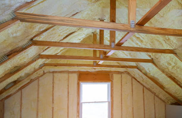 Best Insulation Removal  in Homosassa Springs, FL
