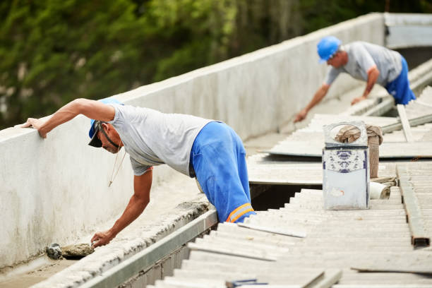 Best Insulation Replacement Services  in Homosassa Springs, FL