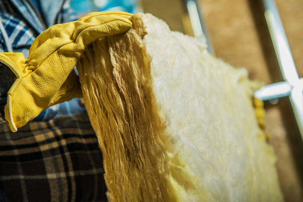 Best Local Insulation Services  in Homosassa Springs, FL