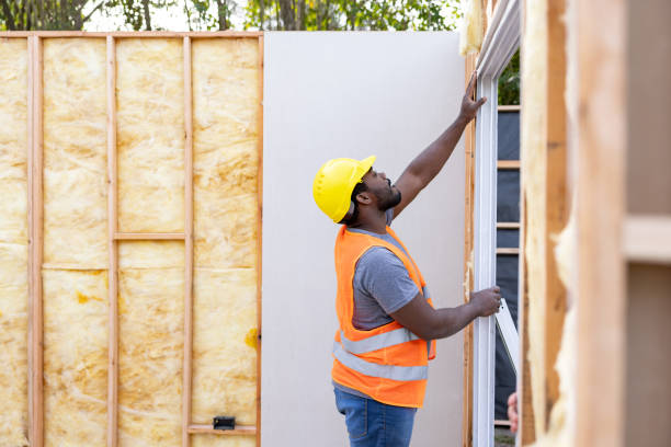 Best Insulation Removal Services  in Homosassa Springs, FL