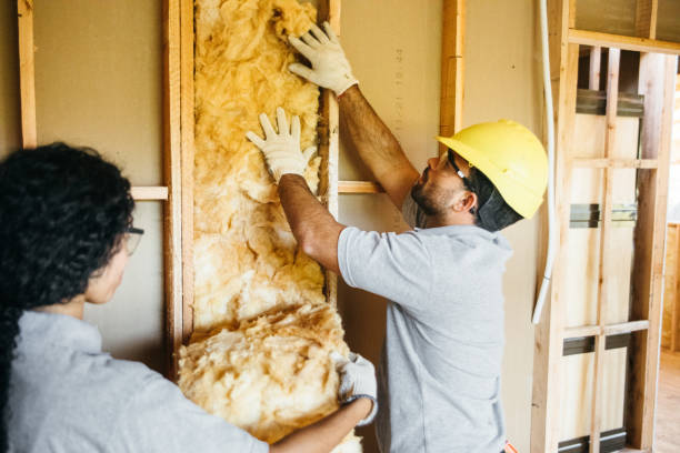 Reliable Homosassa Springs, FL Insulation Contractor Solutions
