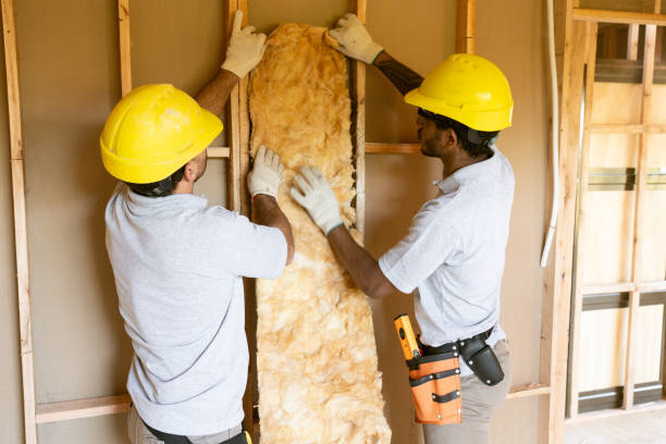 Best Soundproof Insulation Installation  in Homosassa Springs, FL
