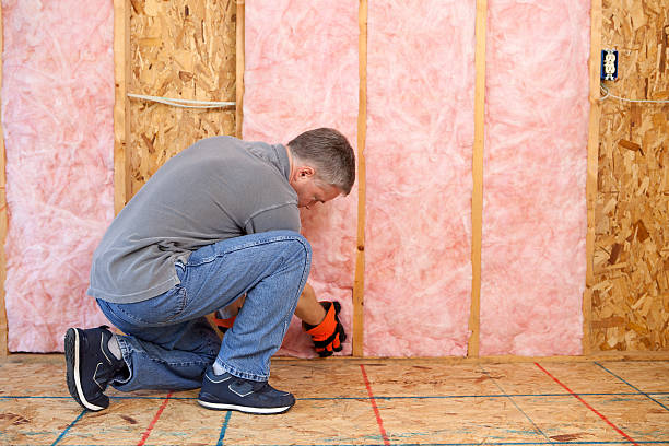 Best Insulation Inspection Services  in Homosassa Springs, FL