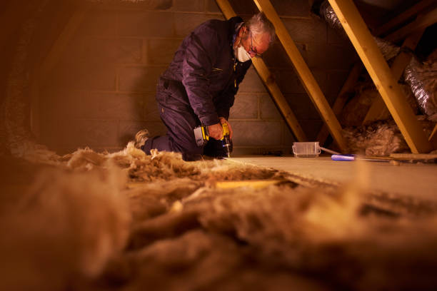 Best Insulation Repair Services  in Homosassa Springs, FL